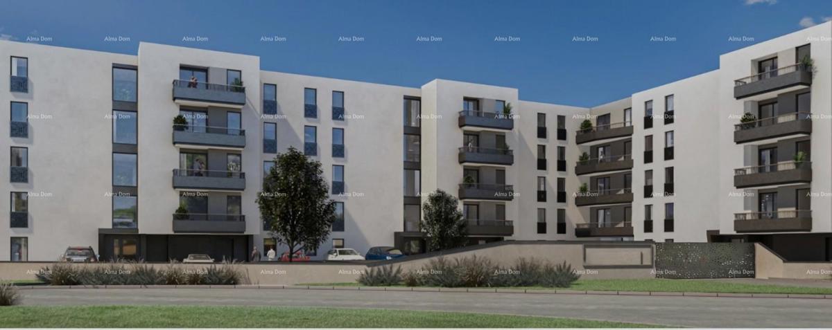 img-property