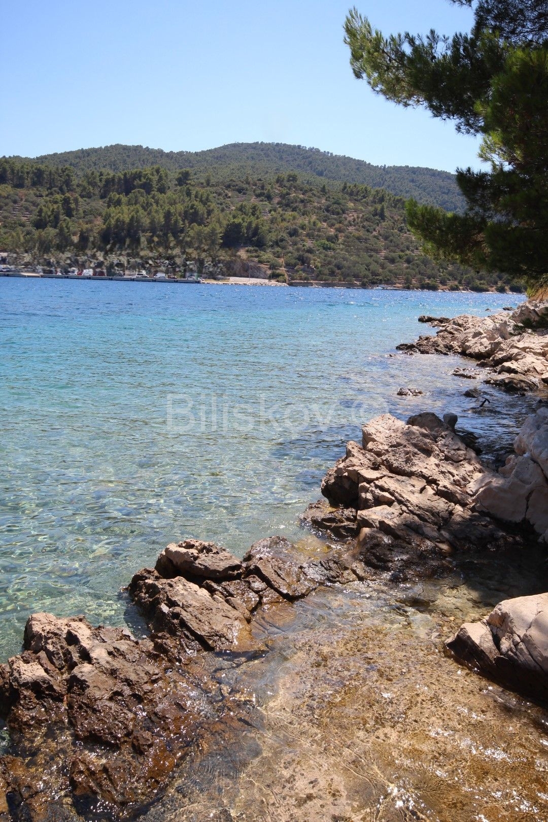 images