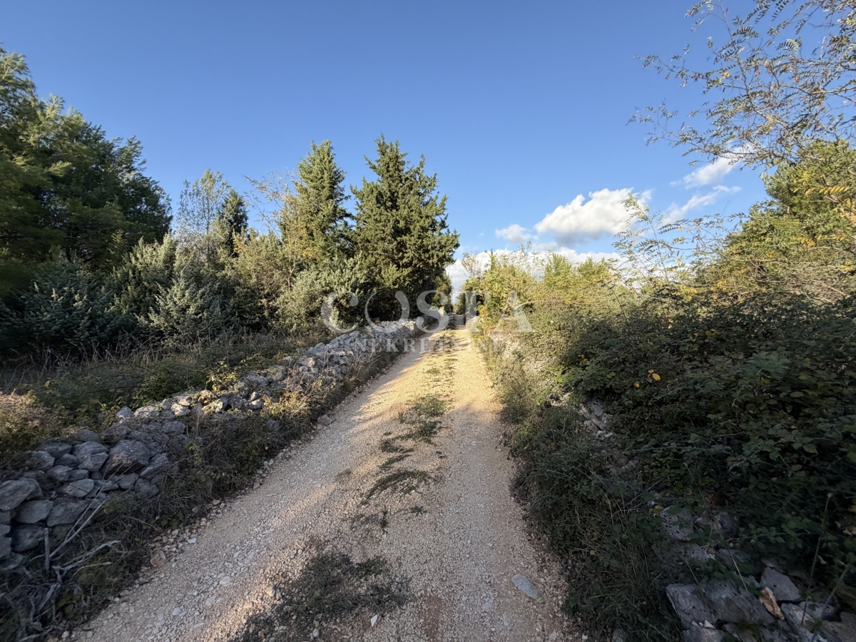 img-property
