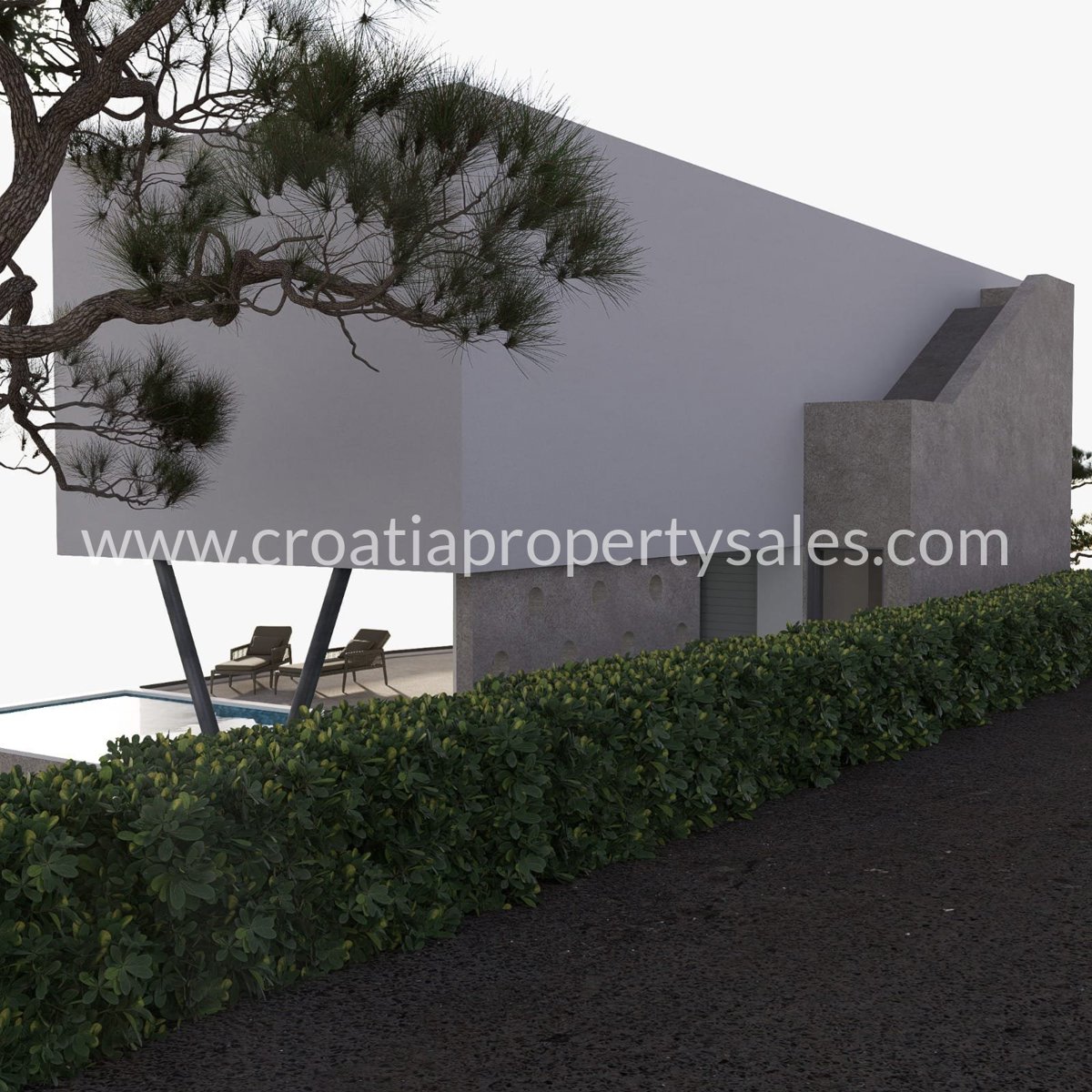 images