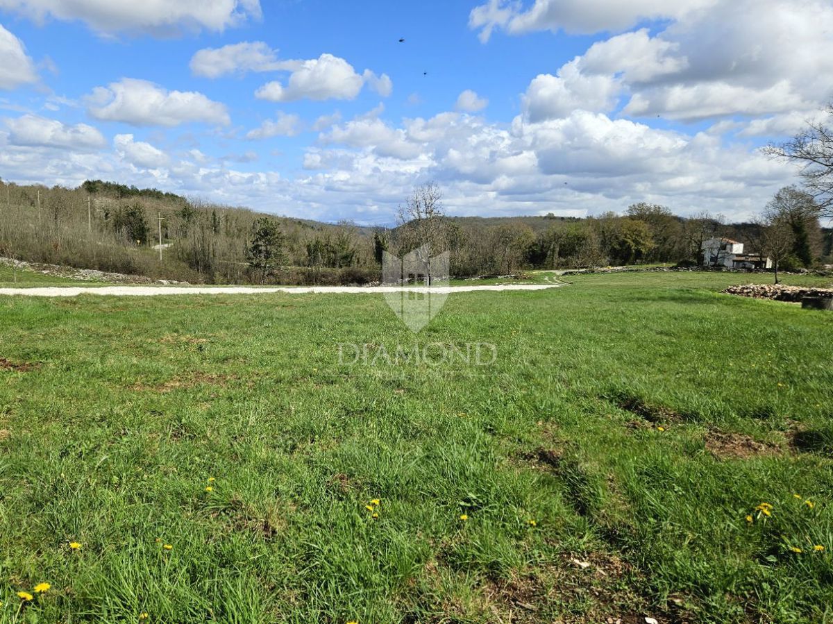 img-property