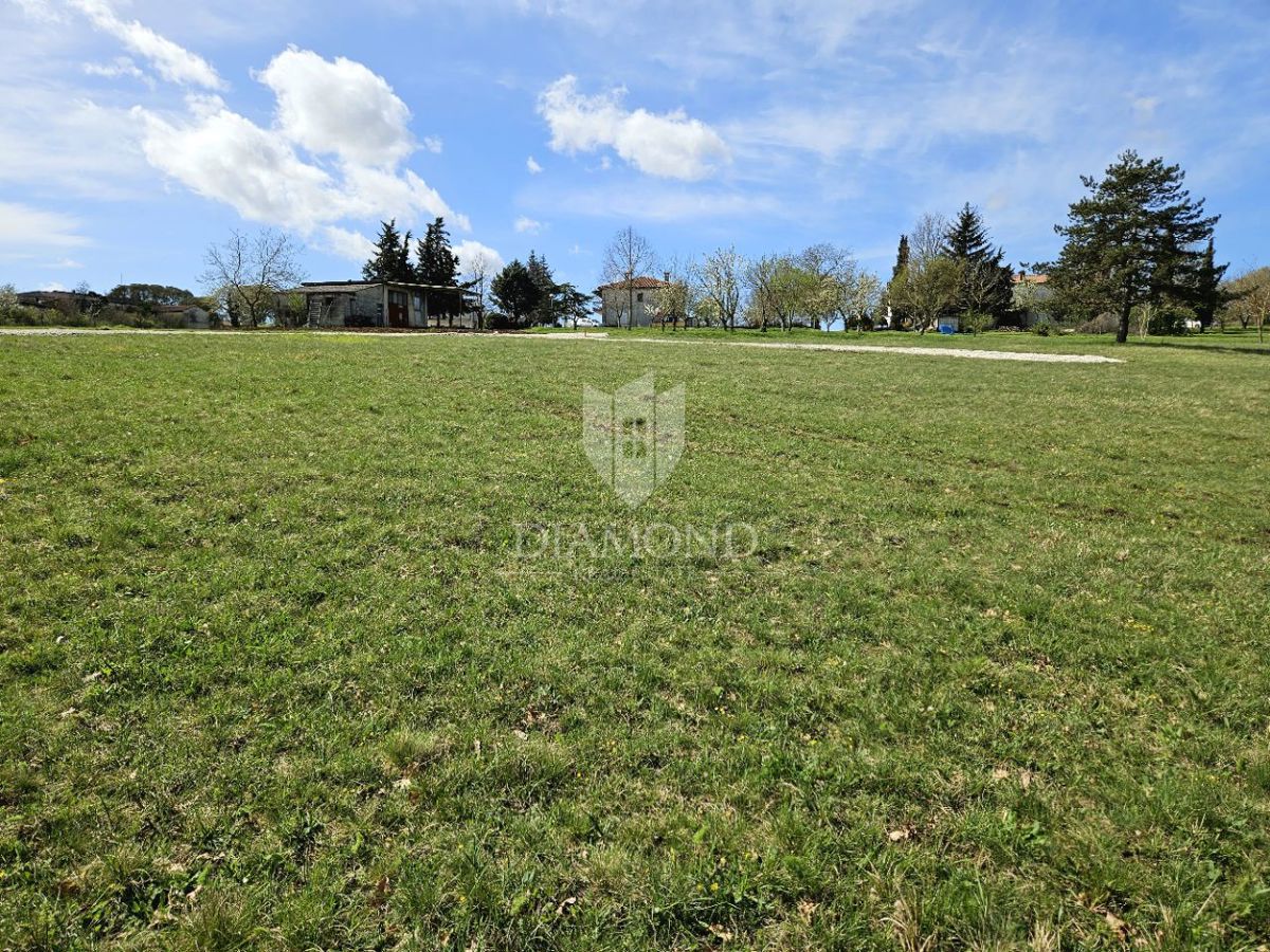img-property