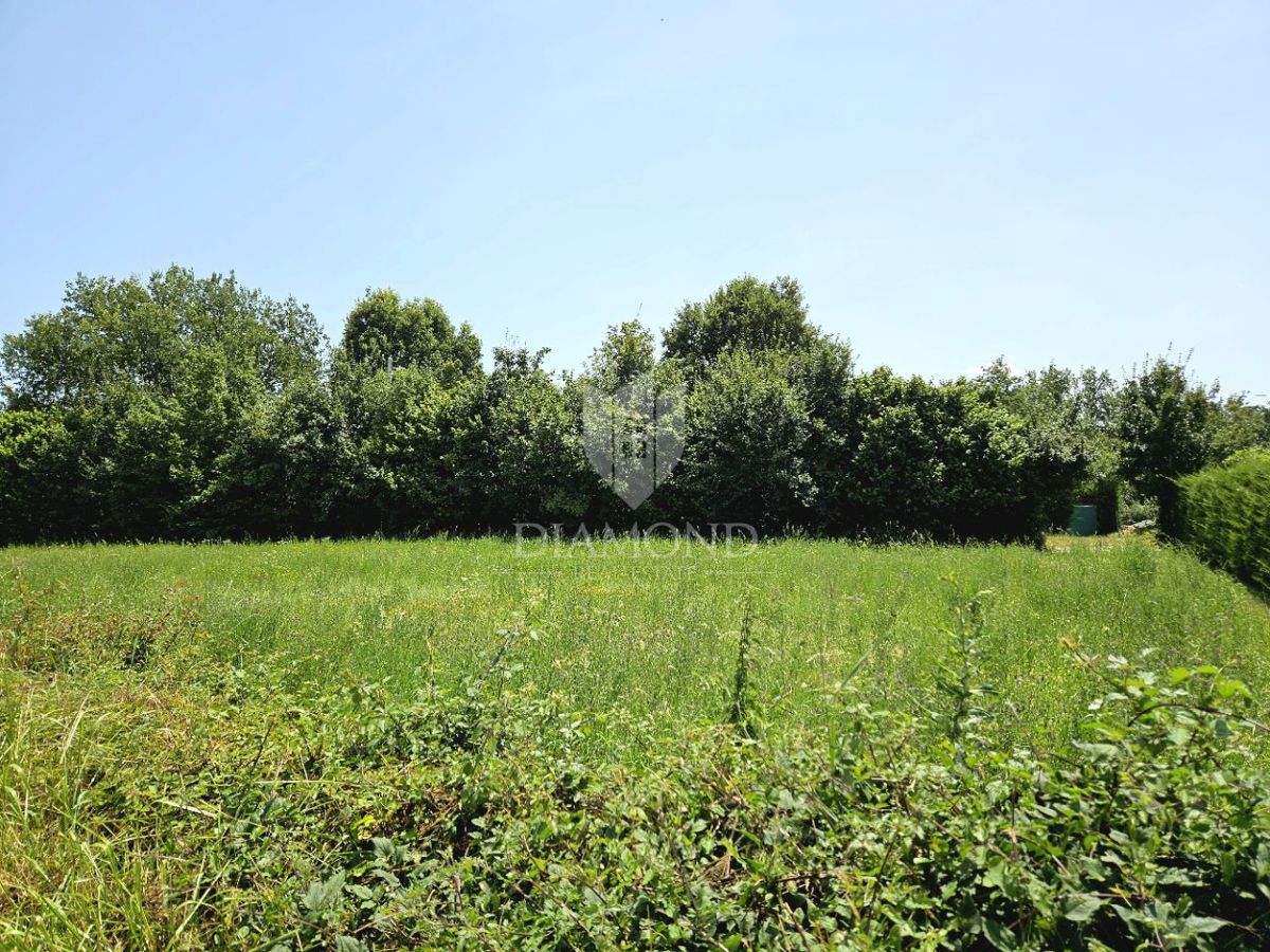 img-property