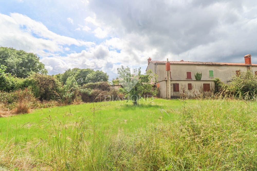 img-property