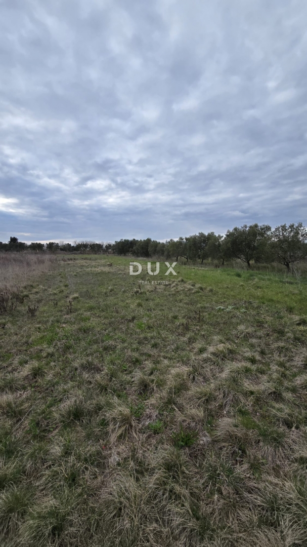 img-property