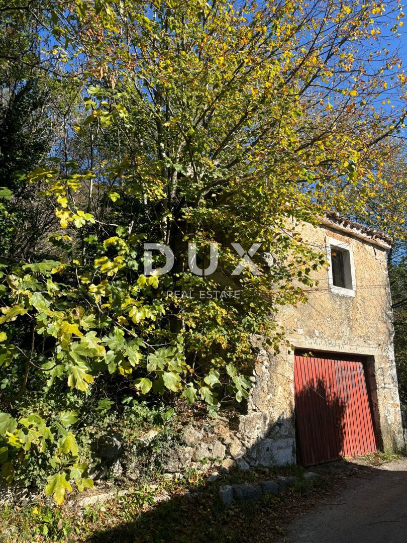 img-property