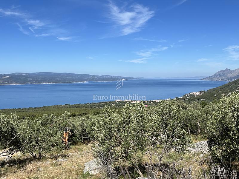 img-property