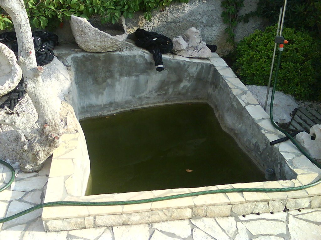 images