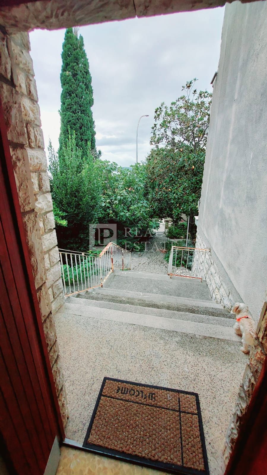 images