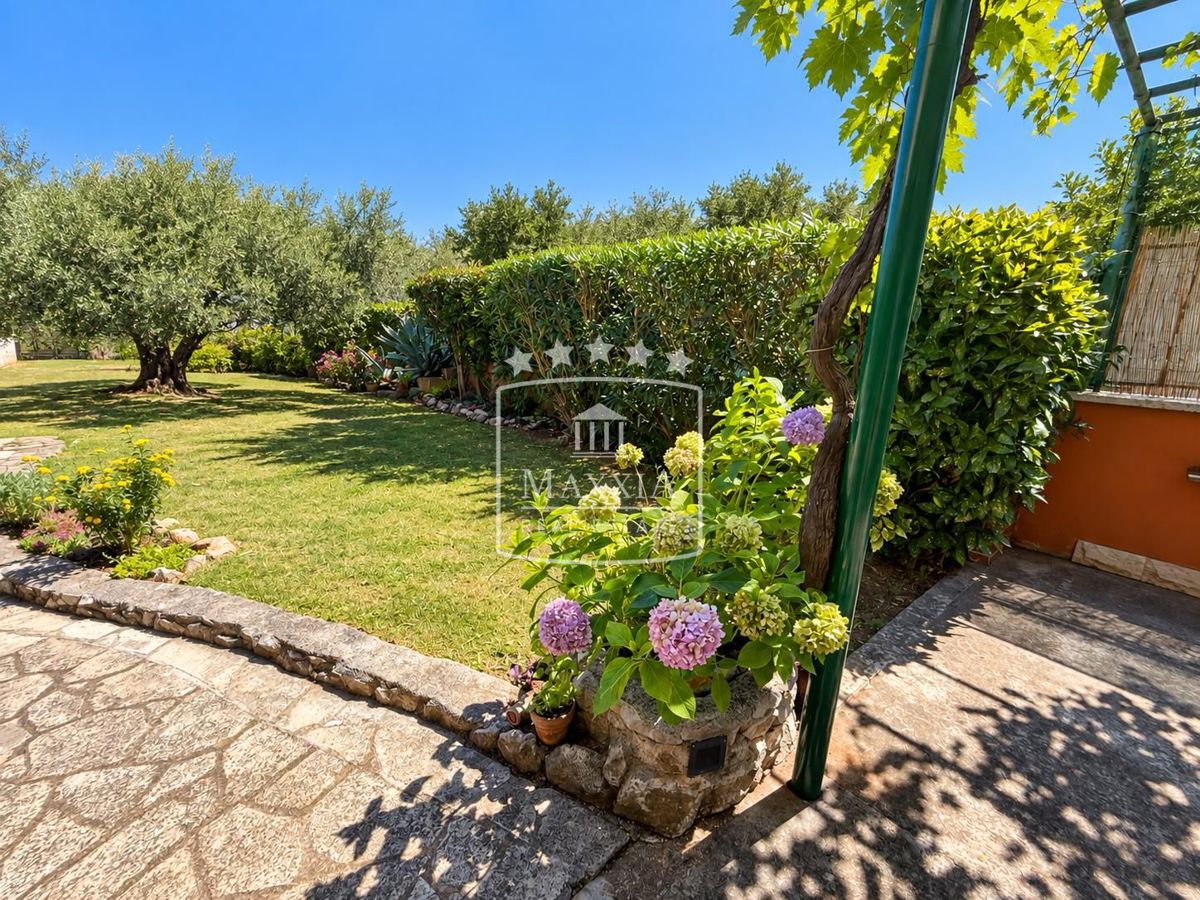 img-property