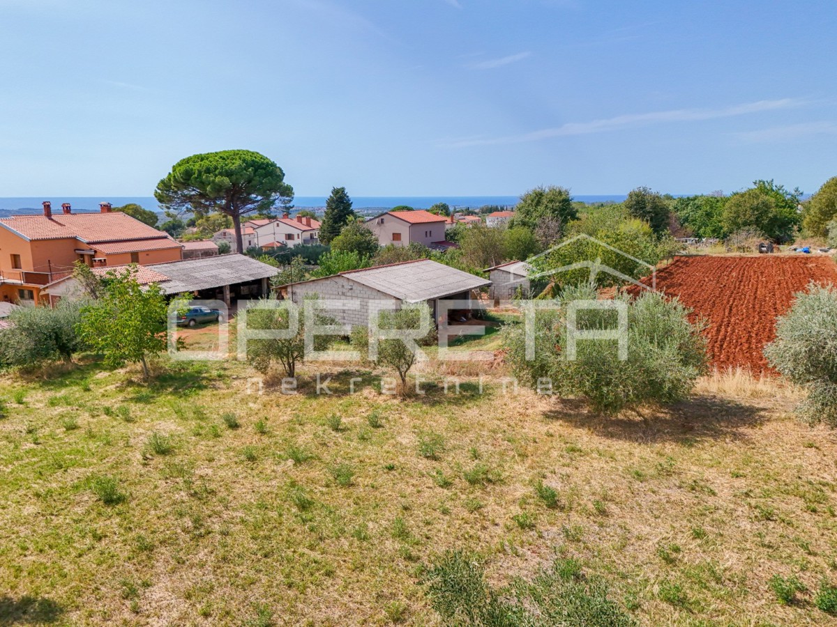 img-property