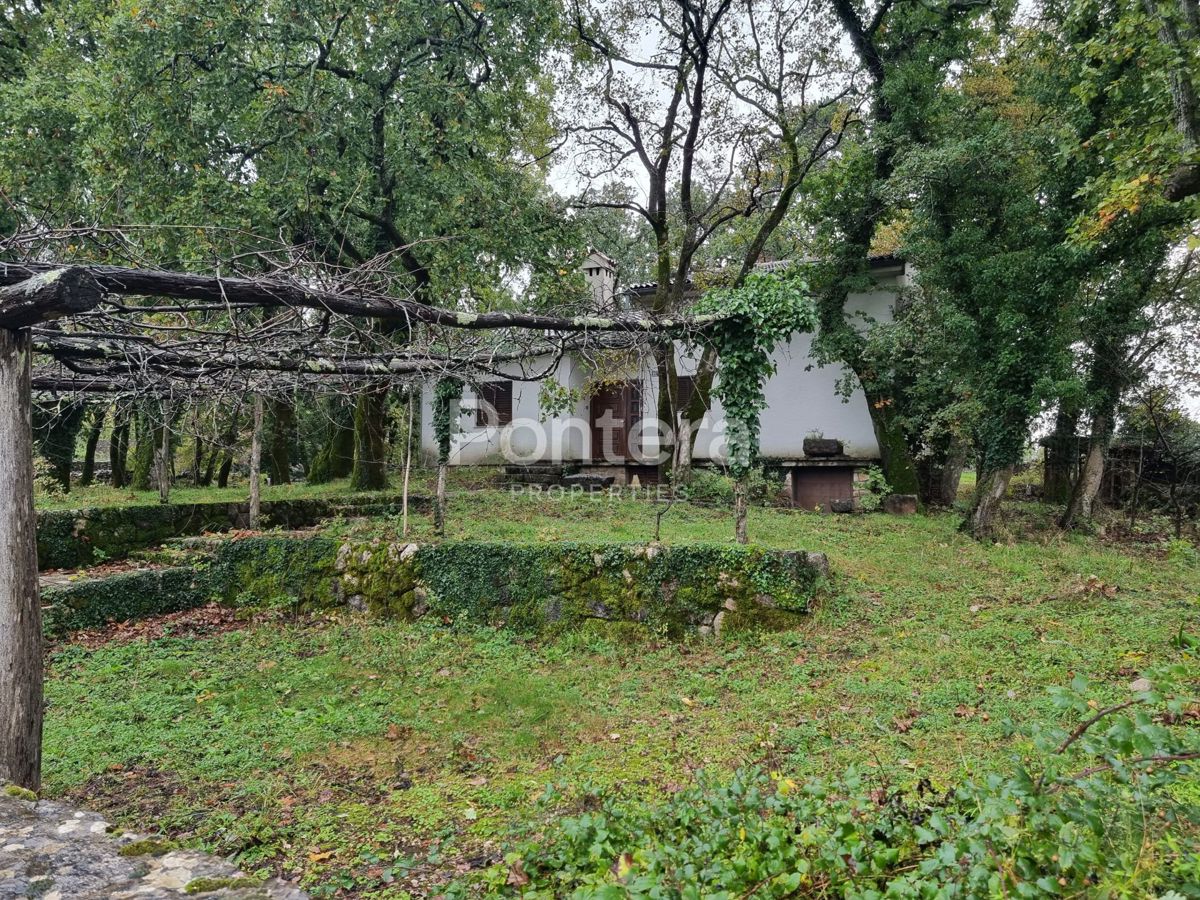 img-property