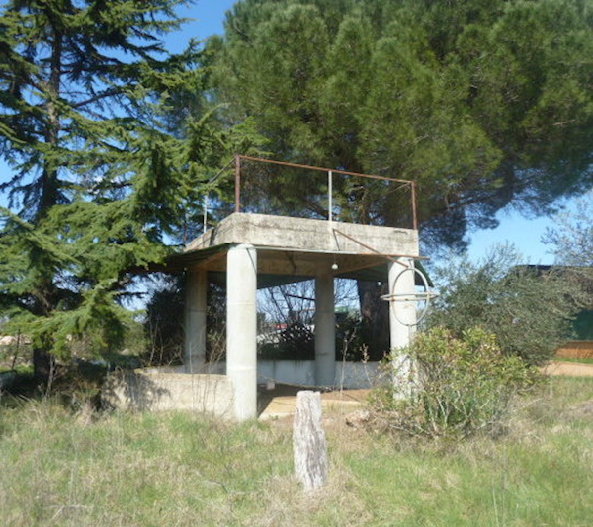 images