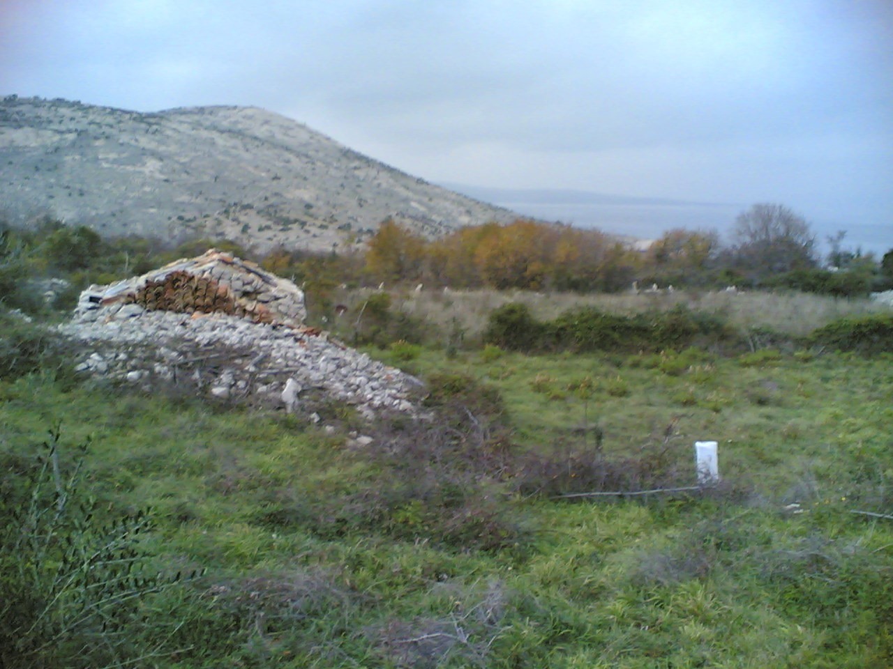 images