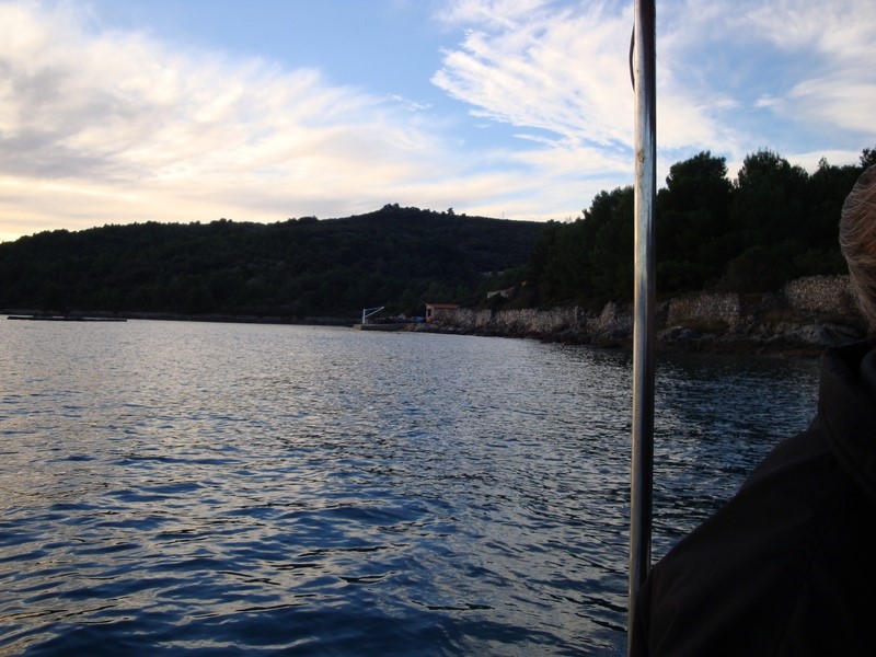 images